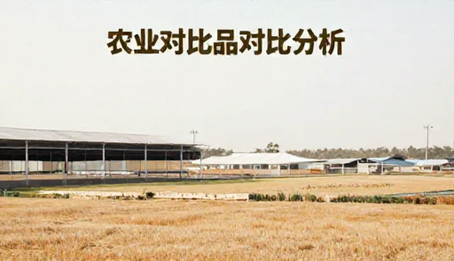广州建设网站公司如何通过服务包优化品牌对比分析