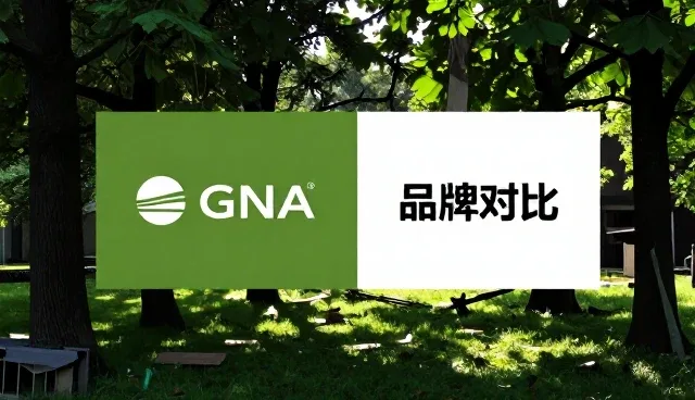杭州做网站公司品牌对比:如何选择适合的建站服务商