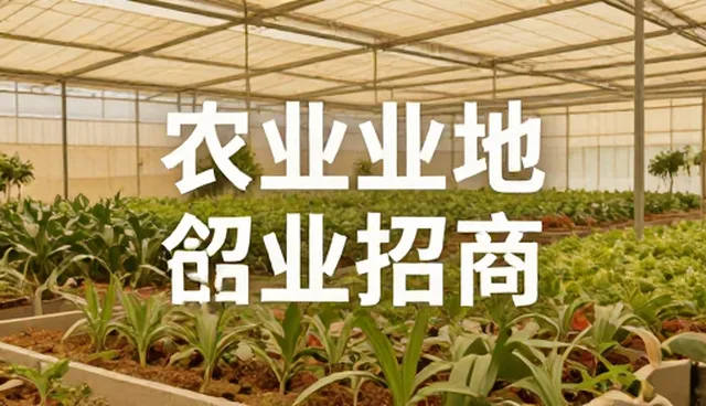 核对清单：招商推广性能与适用条件检查要点